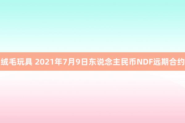 绒毛玩具 2021年7月9日东说念主民币NDF远期合约